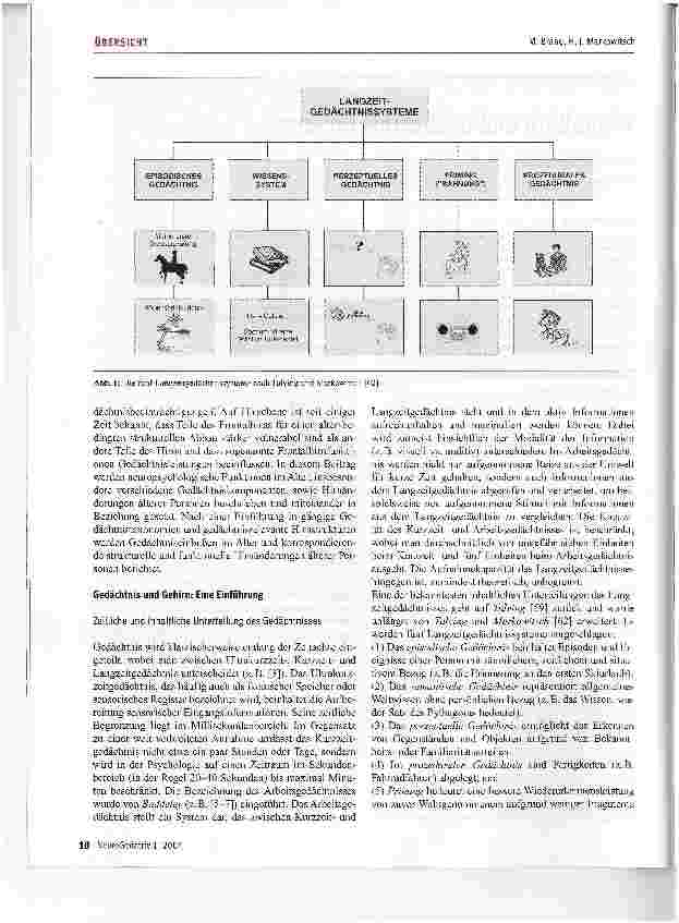 Vorschauseite 2: Frontalhirn und Gedächtnis im Alter