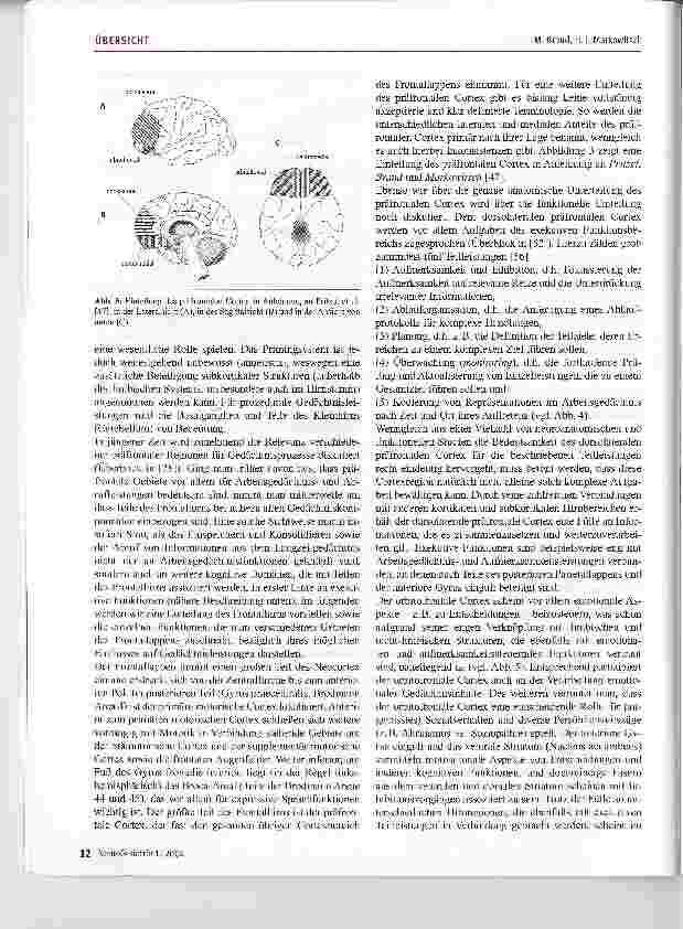 Vorschauseite 4: Frontalhirn und Gedächtnis im Alter