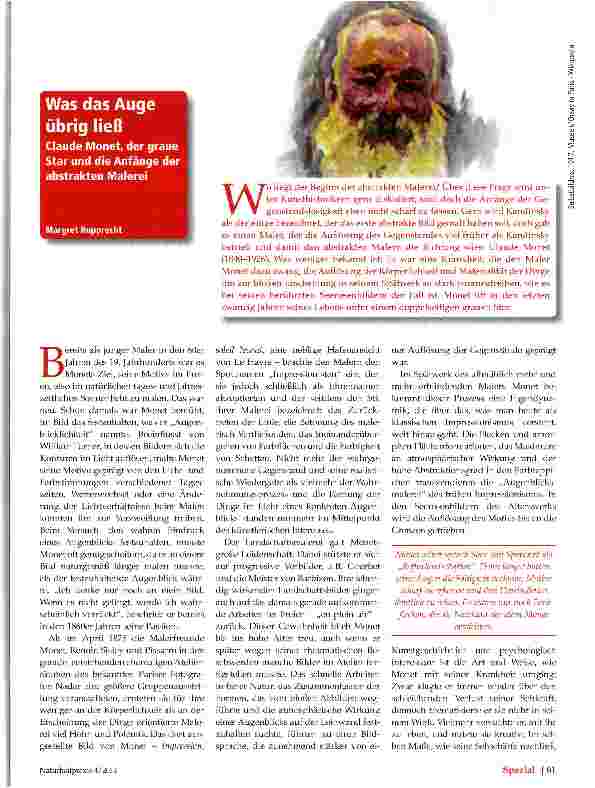 Vorschauseite 1: Was das Auge übrig ließ