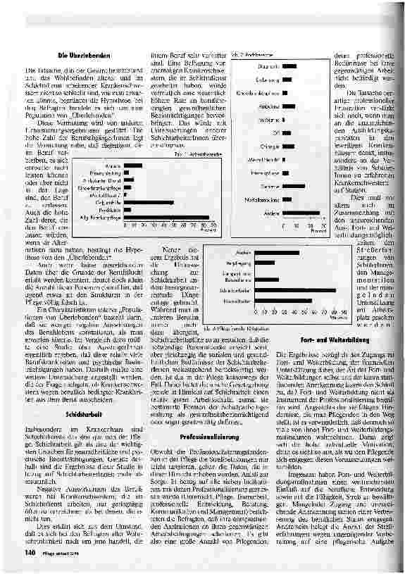 Vorschauseite 3: Streß in der Pflege Studie des Irischen Berufsverbandes für Pflegeberufe