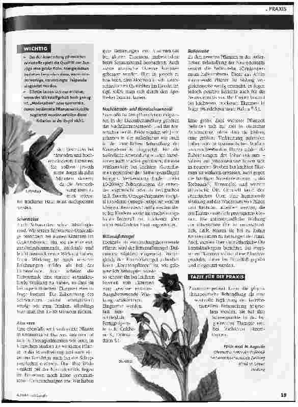 Vorschauseite 2: Gute Erfolge bei leichteren Ekzemen