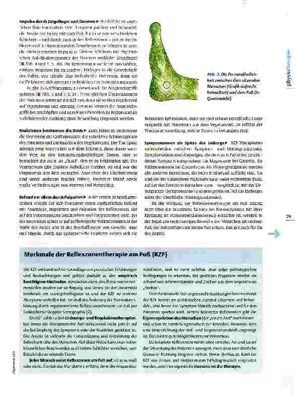 Vorschauseite 2: Reflexzonentherapie am Fuß Füße als Repräsentanten des Körpers