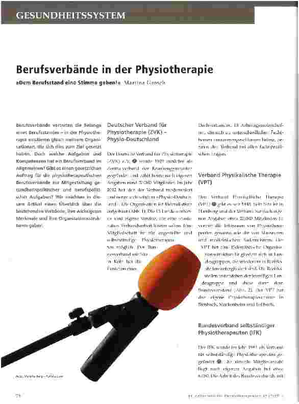 Vorschauseite 1: Berufsverbände in der Physiotherapie