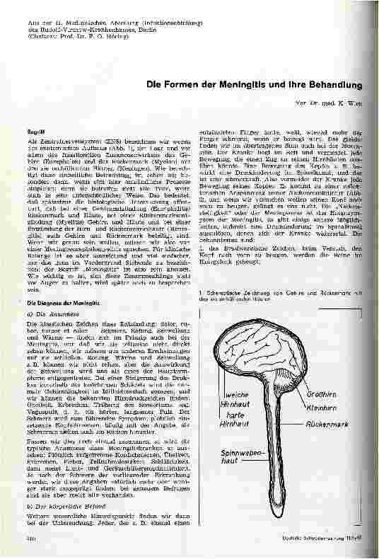 Vorschauseite 1: Die Formen der Meningitis und ihre Behandlung
