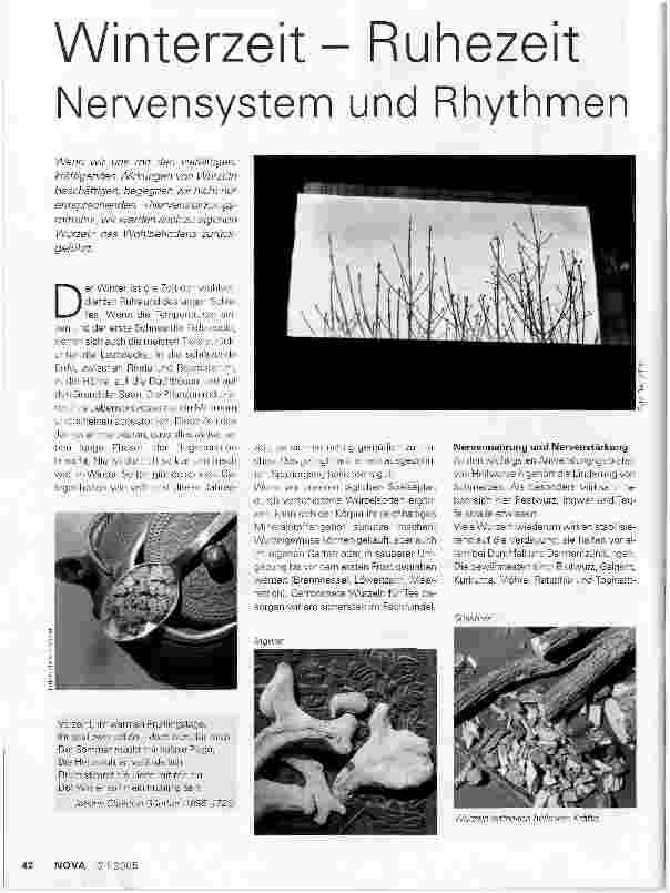Vorschauseite 1: Winterzeit - RuhezeitNervensystem und Rhythmen