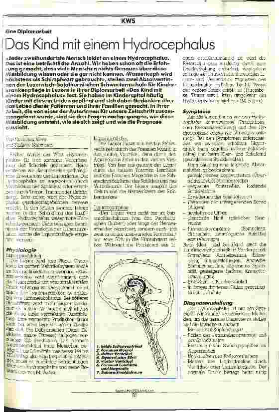 Vorschauseite 1: Das Kind mit einem Hydrocephalus