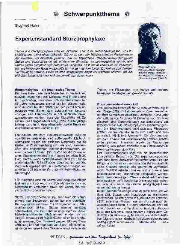 Vorschauseite 1: Expertenstandard Sturzprophylaxe