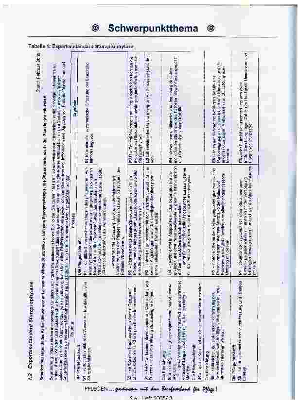 Vorschauseite 2: Expertenstandard Sturzprophylaxe