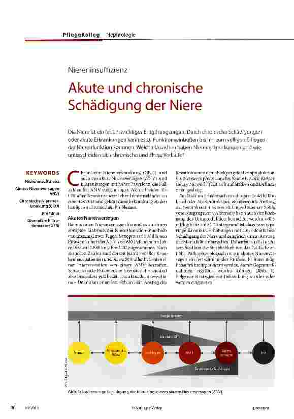Vorschauseite 1: Akute und chronische Schädigung der Niere