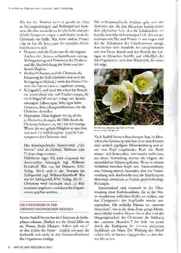 Vorschauseite 3: Neues zur Heilkraft der Christrose