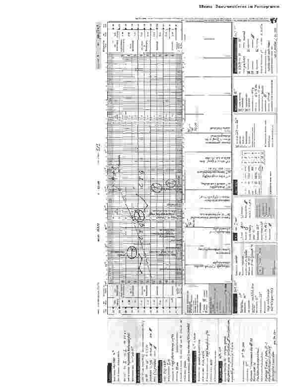 Vorschauseite 4: Geburtsdokumentation