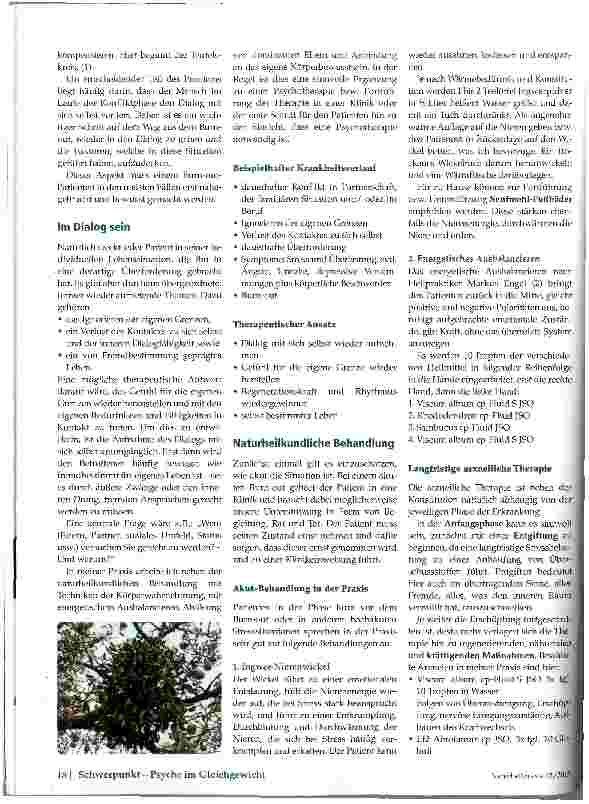 Vorschauseite 2: Vom Symptom zur Ursache Der Weg aus dem Burn-Out
