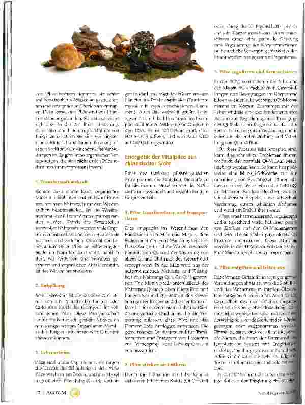 Vorschauseite 2: Vitalpilze