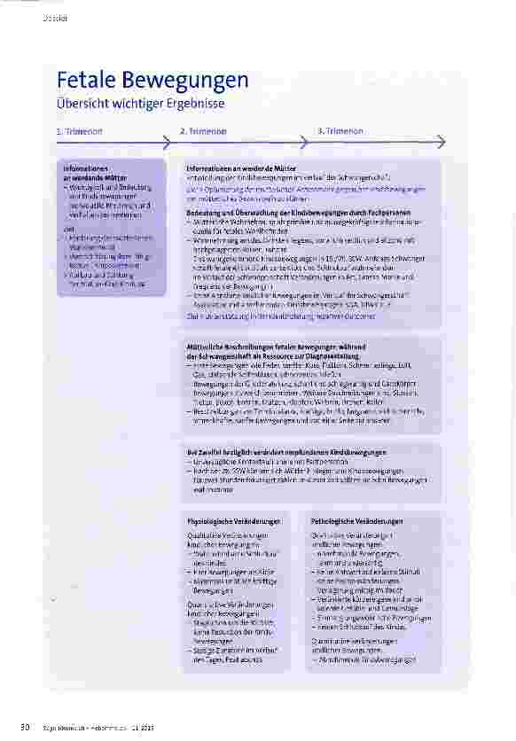 Vorschauseite 3: Wie werden von Müttern wahrgenommene fetale Bewegungen fachlich beurteilt?