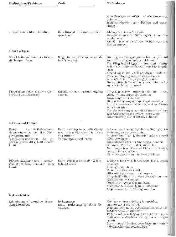 Vorschauseite 4: Standardpflegeplan Parkinsonsche Krankheit - Pflegeprozeß mit individualisiertem Pflegeplan nach der Pflegetheorie von Monika Krohwinkel