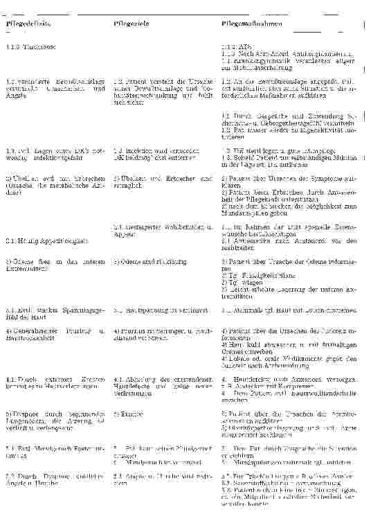 Vorschauseite 3: Standardpflegeplan bei chronischer Niereninsuffizienz