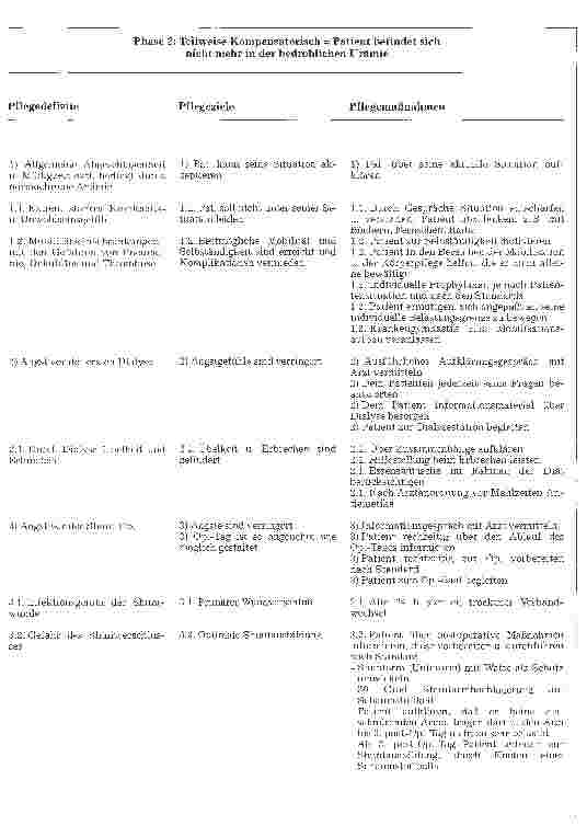 Vorschauseite 5: Standardpflegeplan bei chronischer Niereninsuffizienz