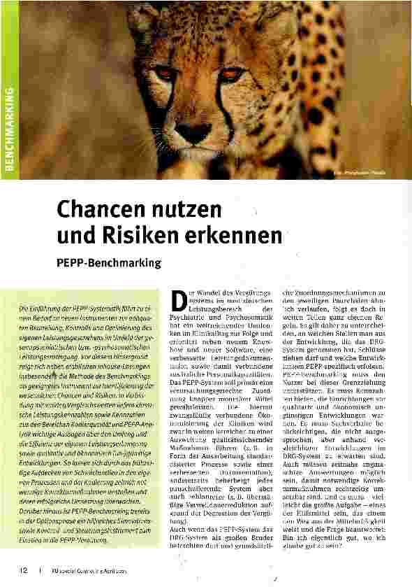 Vorschauseite 1: Chancen nutzen und Risiken erkennen