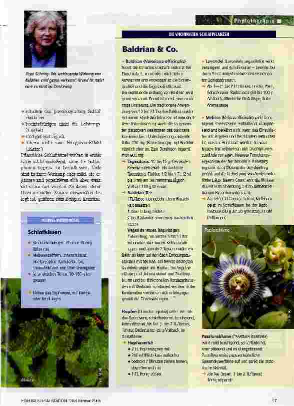 Vorschauseite 2: Sanfte Schlafbegleiter