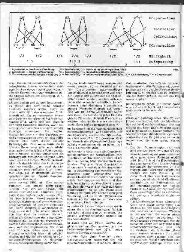 Vorschauseite 2: Kinderheilkunde - Vererbte Krankheiten 1.Folge: Grundzüge der genetischen Beratung