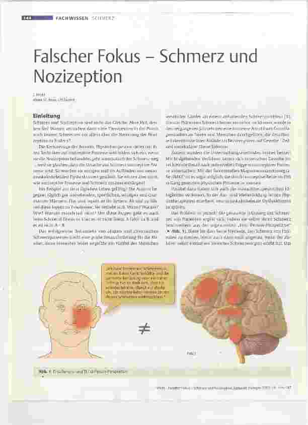 Vorschauseite 1: Falscher Fokus Schmerz und Nozizeption
