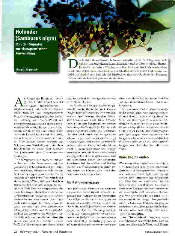 Vorschauseite 1: Holunder (Sambucus nigra) Von der Signatur zur therapeutischen Anwendung