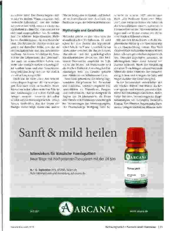 Vorschauseite 2: Holunder (Sambucus nigra) Von der Signatur zur therapeutischen Anwendung