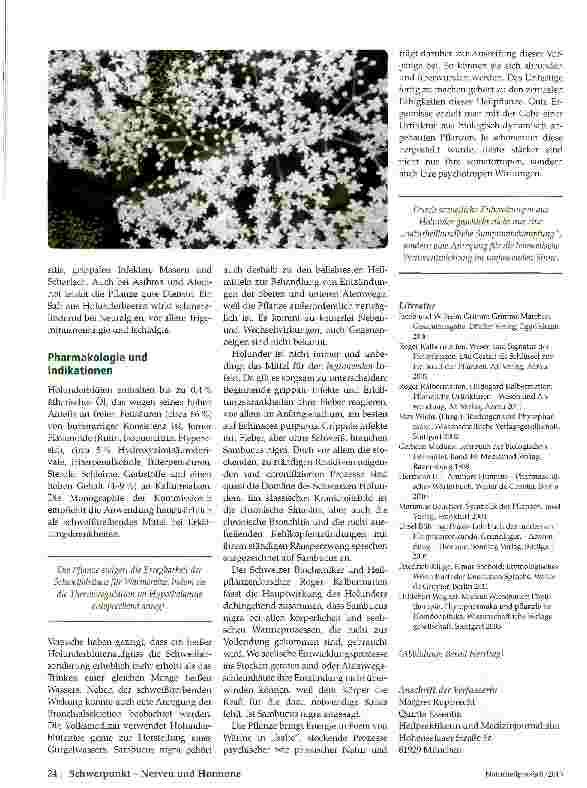 Vorschauseite 3: Holunder (Sambucus nigra) Von der Signatur zur therapeutischen Anwendung