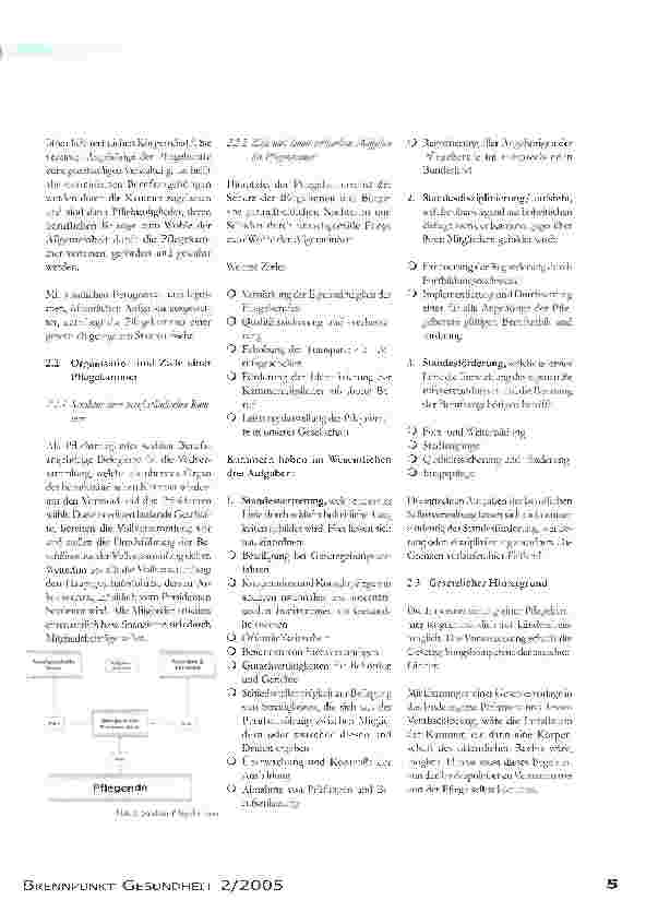 Vorschauseite 2: Der steinige Weg zur PflegekammerEine Projektarbeit im Rahmen der Weiterbildung zur/zum Gesundheitsund Krankenpflegerin / in der Psychiatrie