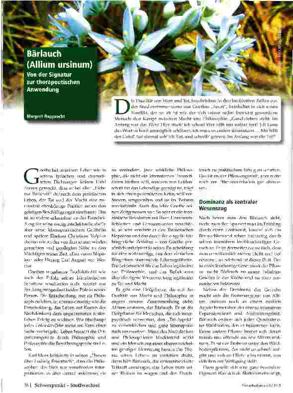 Vorschauseite 1: Bärlauc (Allium ursinum) Von der Signatur zur therapeutischen Anwendung