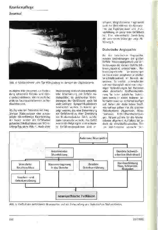 Vorschauseite 3: Pathogenese und Differentialdiagnostik der diabetischen Fußläsion