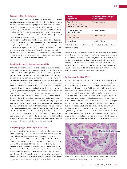 Vorschauseite 2: Dramatische Zunahme von Erkältungskrankheiten. Welche Rolle spielt das Respiratory-Syncytial-Virus (RSV)?