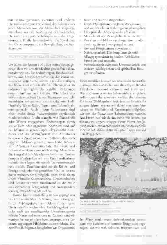 Vorschauseite 2: Die Kunst vom achtsamen Älterwerden