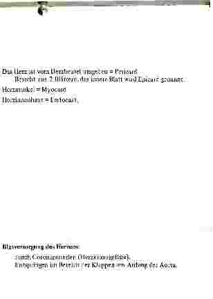 Vorschauseite 5: Lehrkurs für lehrendes Krankenpflegepersonal