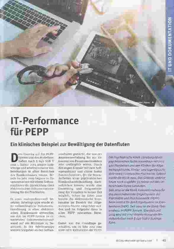 Vorschauseite 1: IT-Performance für PEPP
