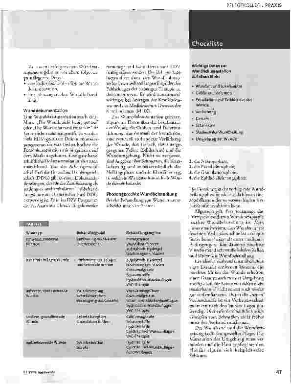 Vorschauseite 2: Wundmanagement des diabetischen Fußes