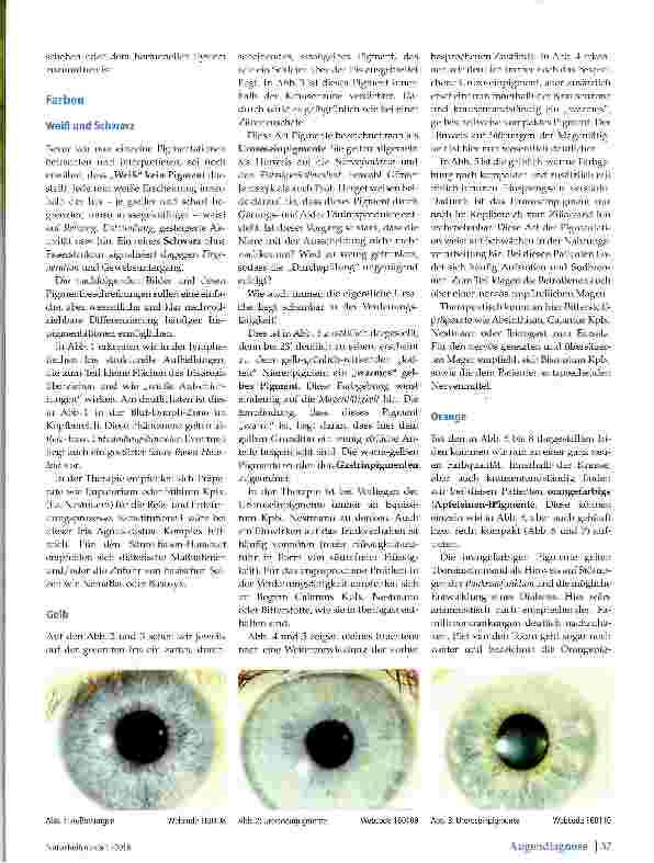 Vorschauseite 2: Pigmente in der Augendiagnose