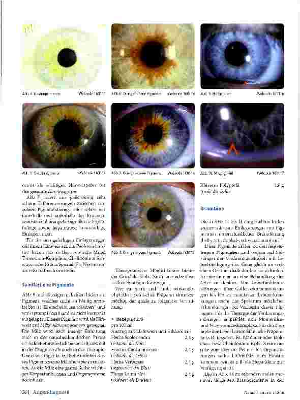 Vorschauseite 3: Pigmente in der Augendiagnose