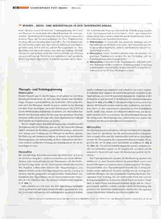 Vorschauseite 2: Der Return to Activity Algorithmus für die untere Extremität ein Fallbeispiel