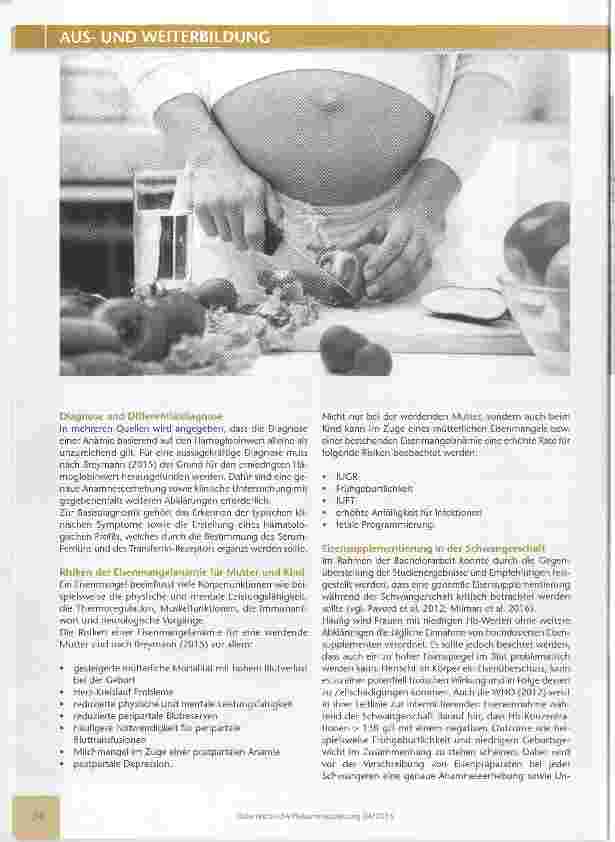 Vorschauseite 3: Eisenmangelanämie und Eisensupplementiemng in der Schwangerschaft