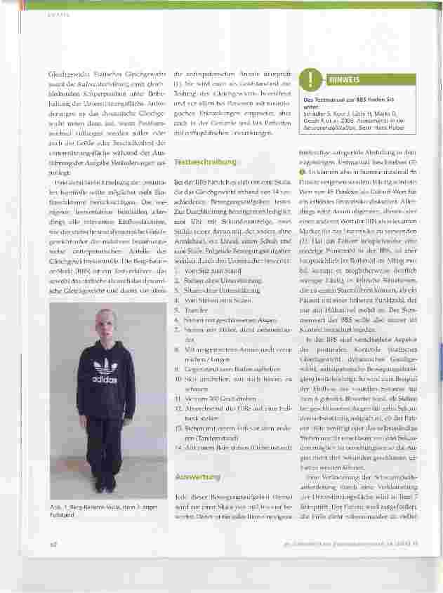 Vorschauseite 2: Berg-Balance-Skala