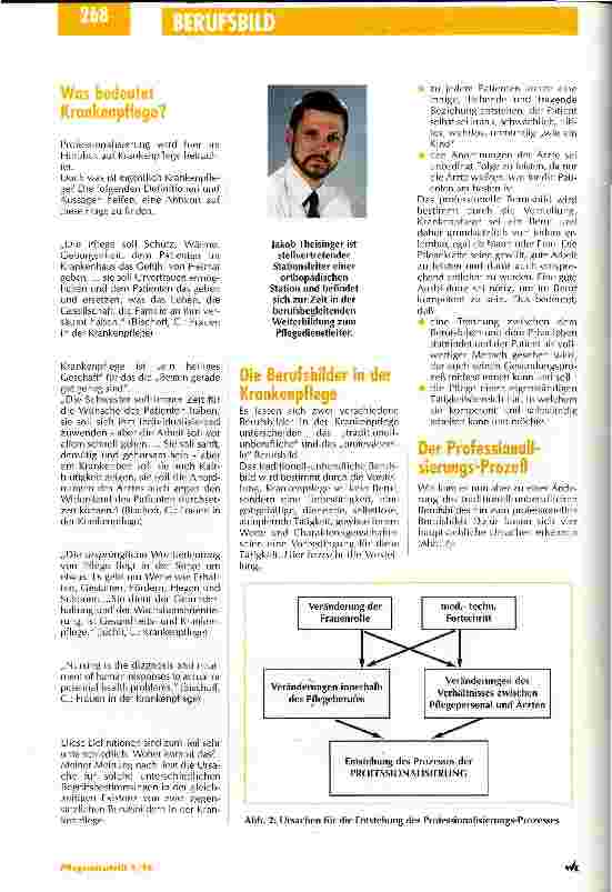 Vorschauseite 2: Wie wäre es mit der Berufsbezeichnung Gesundheitsfachkraft? Professionalisierung in der Pflege