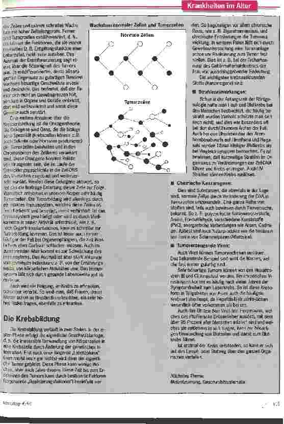 Vorschauseite 2: Tribut an die Zivilisation Das Krebsrisiko ist im Alter immens hoch