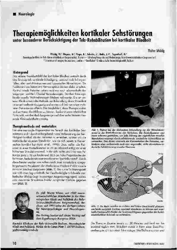 Vorschauseite 1: Therapiemöglichkeiten kortikaler Sehstörungen