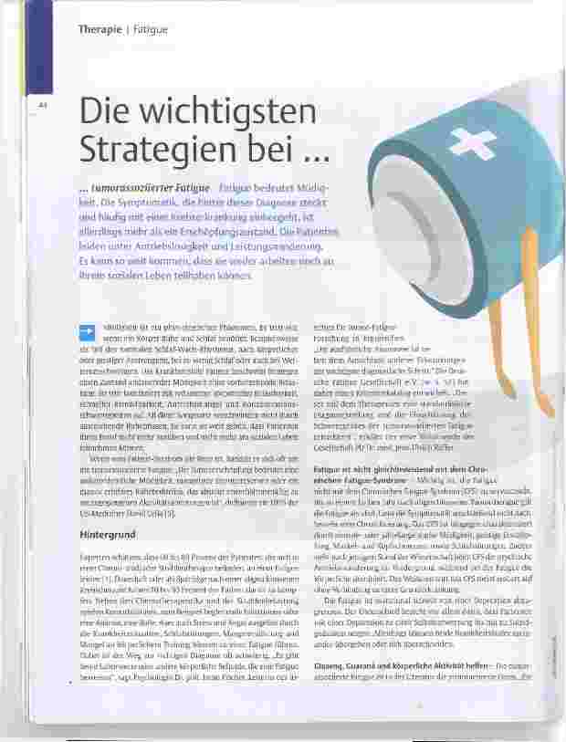 Vorschauseite 1: Die wichtigsten Strategien bei...
