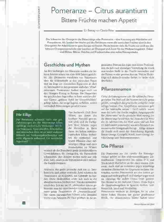 Vorschauseite 1: Pomeranze Citrus aurantium Bittere Früchte machen Appetit