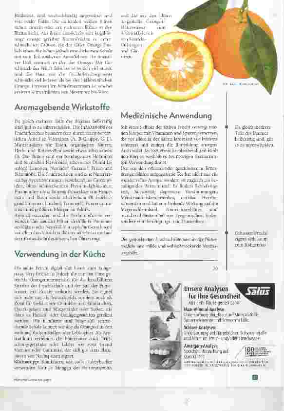 Vorschauseite 2: Pomeranze Citrus aurantium Bittere Früchte machen Appetit