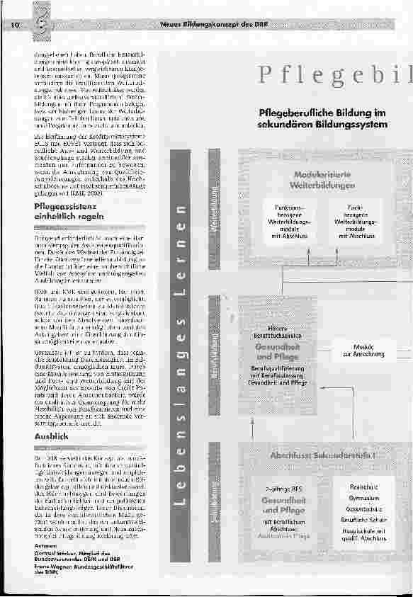 Vorschauseite 2: Pflegebildung - offensivDas neue Biidungskonzept des Deutschen Bildungsrates für Pflegeberufe