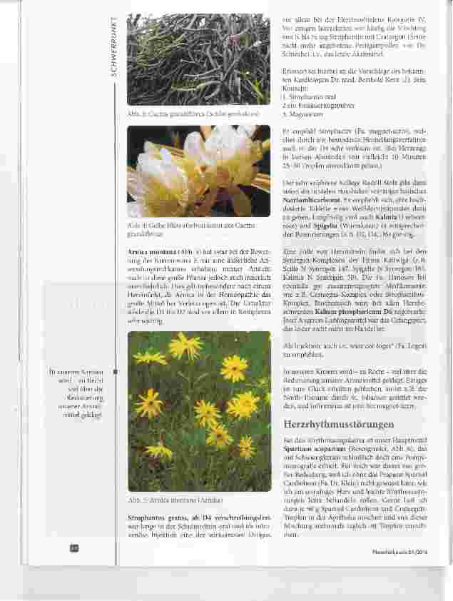 Vorschauseite 4: Heilpflanzen mit geprüfter Wirksamkeit beim Herzen