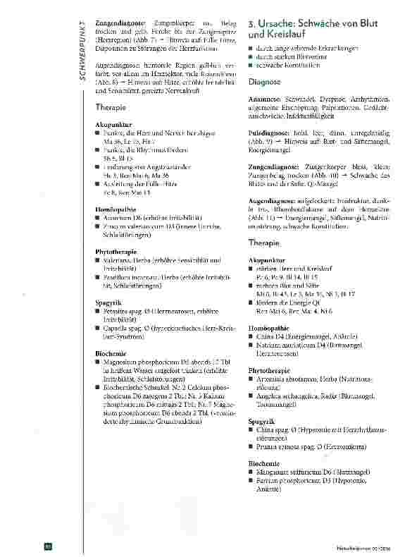 Vorschauseite 5: Westliche Krankheitsbilder betrachtet nach Traditioneller MedizinIm Fokus: Herz und Kreislauf